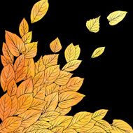 Floral composirion with leaves by watercolor N3