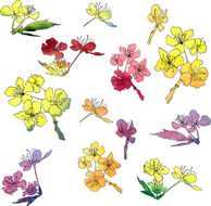 set of cherry blossoms painted by watercolor N2