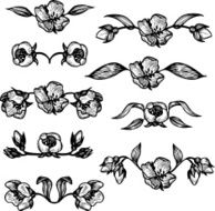 Vintage Floral Design Elements N9