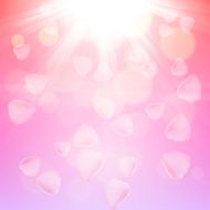 Pink rose petals background