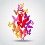 Vector butterflies background design Colorfull EPS 10 concept