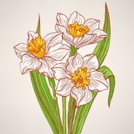 bouquet with spring narcissus