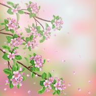 Spring background N41