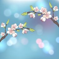 Cherry branch in blossom Seasonal background N3