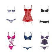 Vector set of very attractive and seductive lingerie N2