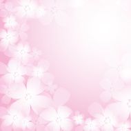 Beautiful pink flower background N5