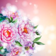 Peonies flowers background N6