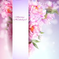 Peonies flowers background N7