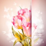 Tulips flowers background N2