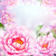 Peonies flowers background N8