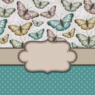vector vintage frame with butterflies N6