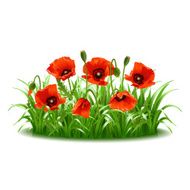 Red poppies in grass vector N6