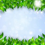 Spring Leaves Bright Background