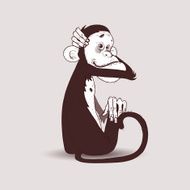 Monkey N41