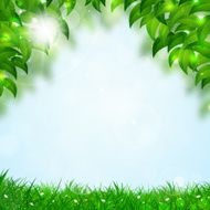 Nature Spring Background
