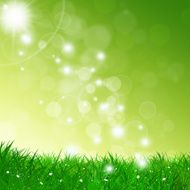 Bright Spring Background