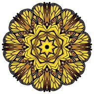 beautiful vector circular background N35