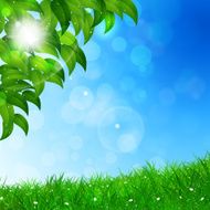 Spring Nature Background N3