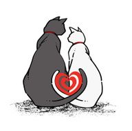 cats love each other