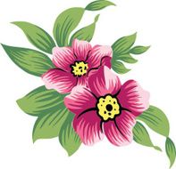 beautiful pink flowers N5