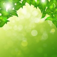 Green Spring Background
