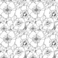 Vector seamless pattern with poppies flowers