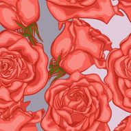 pattern of roses N2