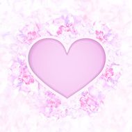 Wedding card or invitation N8