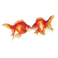 Goldfish kissing