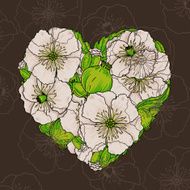 Vector poppy flowers heart illustration N2