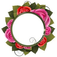 Red and pink roses bouquet