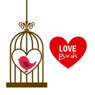 Love Design with Birds N16