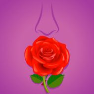 Flower as a gift