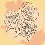 Floral card with roses N19
