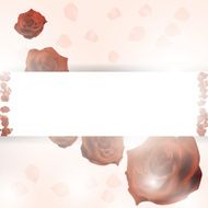 Red petals on a white background Abstract frame N3
