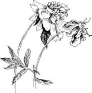 Vintage floral composition N5