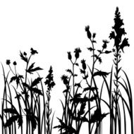 Silhouettes of flowers and grass N25