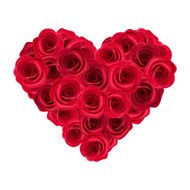 Heart of red roses Vector illustration N2