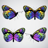 Vector colorful butterflies N3