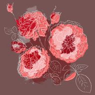 Beautiful pink rose N2