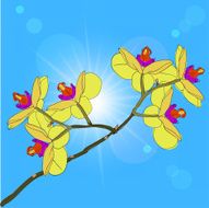 twig blossoming orchids