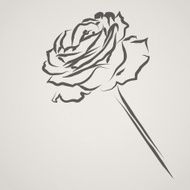 Rose Card