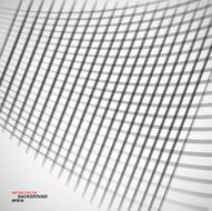 vector grid N3