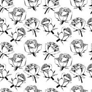 Vector pattern with hand drawn roses flowers