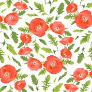 poppy N6