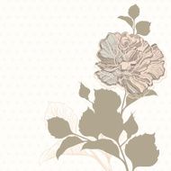 Invitation or greeting card with rose