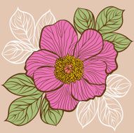 Floral background with flowers of peony N7