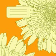 Floral card with gerbers N6