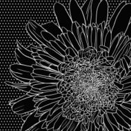 Floral card with gerbers N7