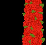 Beautiful red roses with green leaves on a black background